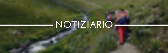 NOTIZIARIO